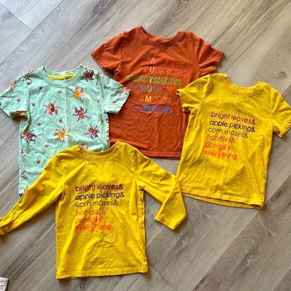 Cat & Jack Fall Tshirt Long Sleeve Bundle Set Size 3T Toddler - Picture 1 of 7